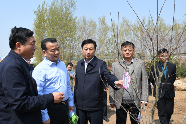 微信图片_20190403210302_副本