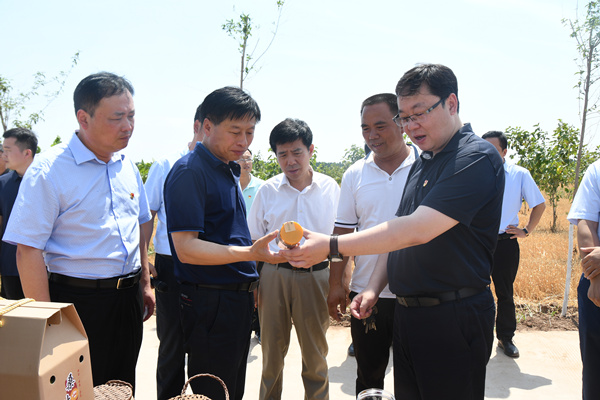 微信图片_20190624110823_副本