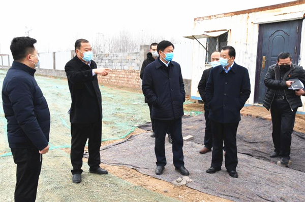 曹县长调研