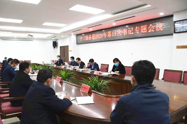 书记专题会