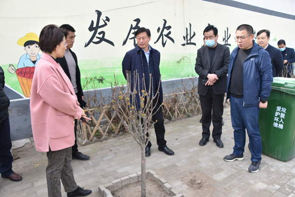调研指植树造林