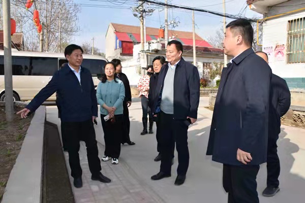 曹县长调研绿化