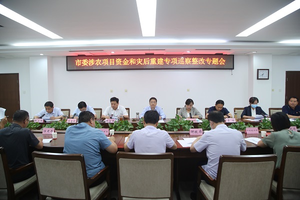 市委涉农项目资金和灾后重建专项巡察整改专题会01