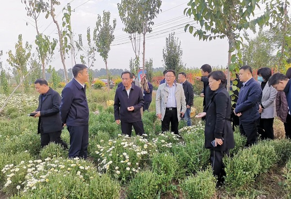 常1